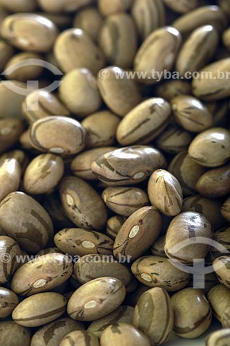  Subject: Bean 