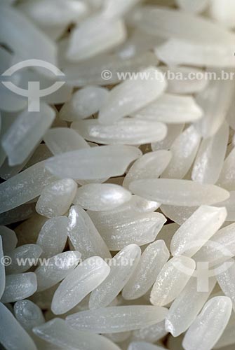  Subject: Detail of grains of rice / Place: São Paulo State - Brazil / Date: February 2008 