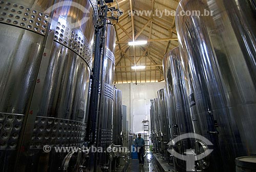  Subject: Barrels of wine - Pizzato winery - Vale dos Vinhedos (Vineyard Valley) / Place: Bento Gongalves City - Rio Grande do Sul State - Brazil / Date: February 2008 