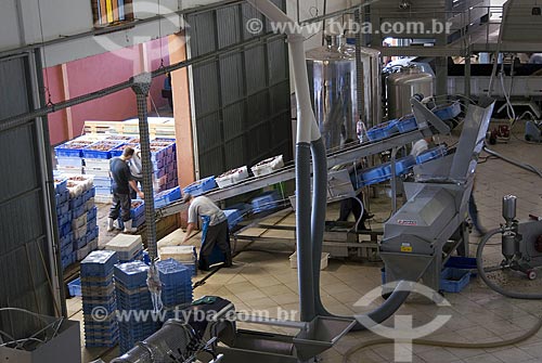  Subject: Unloading of grapes for wine industry - Vale dos Vinhedos (Vineyard Valley) / Place: Bento Gonçalves City - Rio Grande do Sul State - Brazil / Date: February 2008 