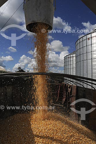  Subject: Silos for drying and storing grains (corn in this photo) - Juparana Agricola / Place: Paragominas city - Para state - Brazil / Date: March, 2009 