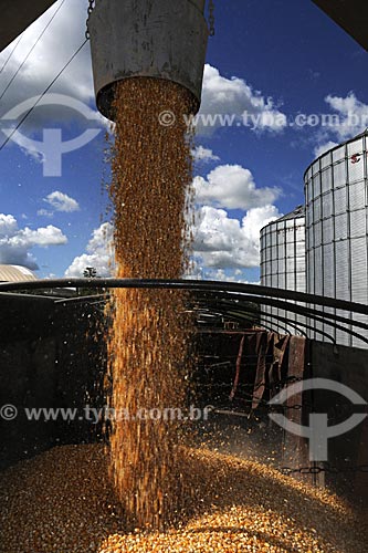  Subject: Silos for drying and storing grains (corn in this photo) - Juparana Agricola / Place: Paragominas city - Para state - Brazil / Date: March, 2009 