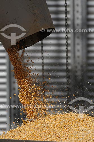  Subject: Silos for drying and storing grains (corn in this photo) - Juparana Agricola / Place: Paragominas city - Para state - Brazil / Date: March, 2009 