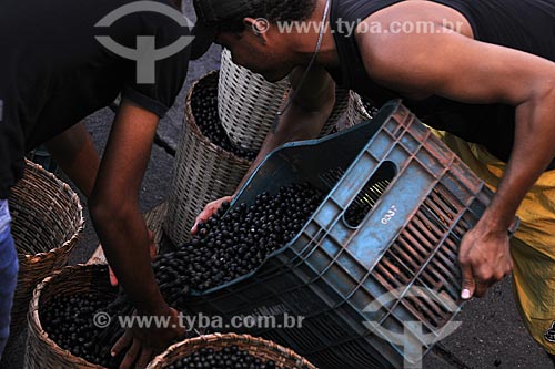  Subject: Açai trade in Abaetetuba fair / Place: Abaetetuba city - Para state - Brazil / Date: April 2009 