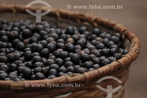  Subject: Açai trade in Abaetetuba fair / Place: Abaetetuba city - Para state - Brazil / Date: April 2009 