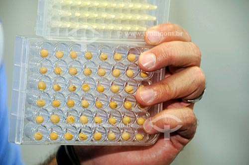  Subject: Boxes with analyzed seeds / Place: St. Louis city - Missouri state - USA / Date: August 2008 