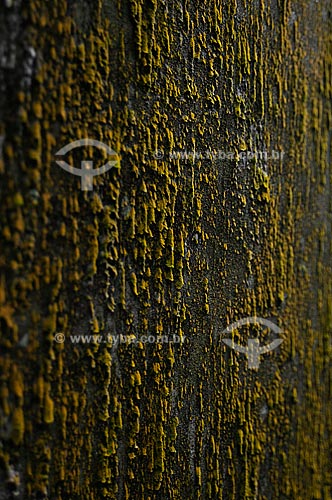  Subject: Texture in the walls of the Hotel Paineras (Tijuca National Park) / Place: Rio de Janeiro city - Rio de Janeiro state - Brazil / Date: August 2009 