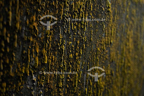  Subject: Texture in the walls of the Hotel Paineras (Tijuca National Park) / Place: Rio de Janeiro city - Rio de Janeiro state - Brazil / Date: August 2009 