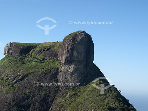  Subject: Rock of Gavea (Pedra da Gavea) / Place: Rio de Janeiro City - Rio de Janeiro State - Brazil / Date: 02/02/2010 