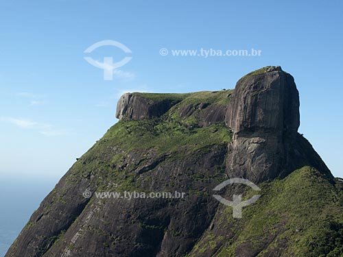  Subject: Rock of Gavea (Pedra da Gavea) / Place: Rio de Janeiro City - Rio de Janeiro State - Brazil / Date: 02/02/2010 