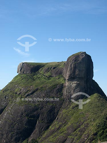  Subject: Rock of Gavea (Pedra da Gavea) / Place: Rio de Janeiro City - Rio de Janeiro State - Brazil / Date: 02/02/2010 