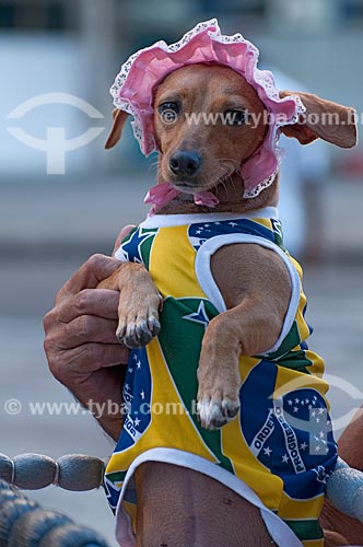  Subject: Dog wearing Brazilian Flag top during the carnival  / Place: Rio de Janeiro city - Rio de Janeiro state - Brazil  / Date: 16/02/2010 
