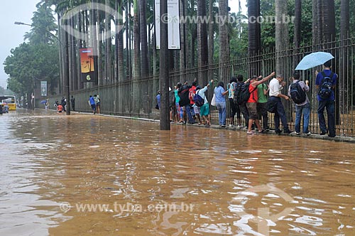  Subject: Flood on the streets of Jardim Botanico / Place: Rio de Janeiro, Brazil / Date: abril 2010 