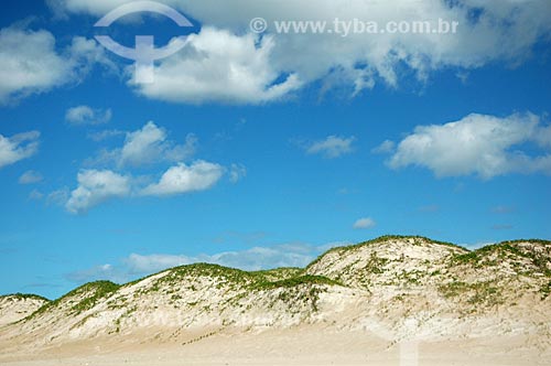  Subject: Restinga vegetation in a sand dune beach  / Place:  Cabo Frio city - Rio de Janeiro state - Brazil  / Date: 03/2008 