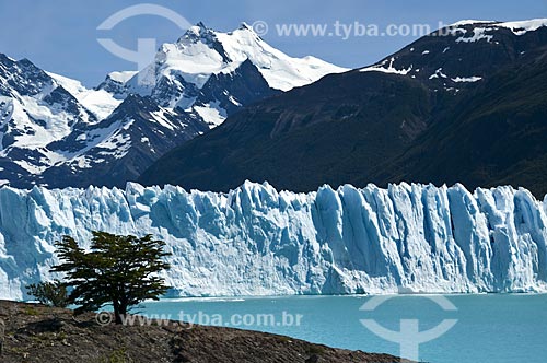  Subject: Ice pieces on the water called Perito Moreno Glacier in Los Glaciares National Park - the park was declared a World Heritage Site by UNESCO in 1981  / Place:   Patagonia - Argentina  / Date: 19/02/2010 