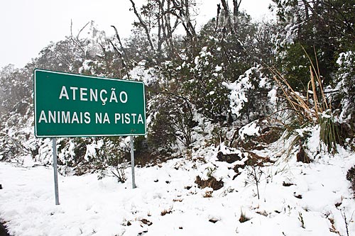  Subject: Warning plaque informing the presence of animals on the road / Place: Urubici city - Santa Catarina state (SC) - Brazil / Date: 08/2010 