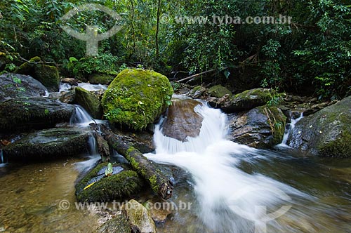  Subject: Waterfall in Rain Forest In South America  / Place:  Guaratingueta-Sao Paulo - SP  / Date: 10/03/2006 