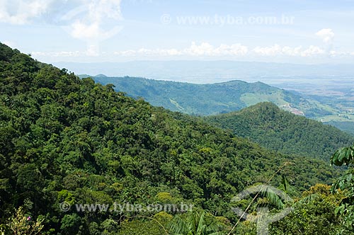  Subject: Rain Forest in South America  / Place:  Guaratingueta - Sao Paulo state - Brazil  / Date: 10/03/2006 