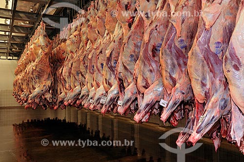  Subject: Fridge  / Place:  Campo Grande city - Mato Grosso do Sul state - Brazil  / Date: 12/2008 
