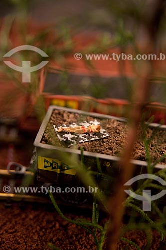  Subject: Train miniature - Toy  / Place:  Studio  / Date: 2010 
