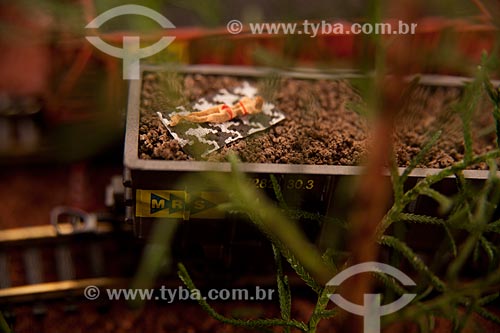  Subject: Train miniature - Toy  / Place:  Studio  / Date: 2010 