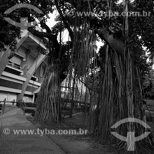  Subject: Facade of Jornalista Mario Filho stadium, also known as Maracanã  / Place:  Rio de Janeiro city - Rio de Janeiro state - Brazil  / Date: 06/2010 