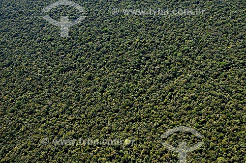  Subject: Aerial view of the rainforest in the Canarana region  / Place:  Canarana - Mato Grosso state - Brazil  / Date: 07/2009 