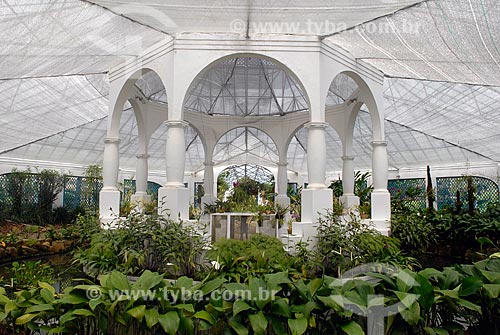  Subject: Orchid nursery of the Botanical Garden of Rio de Janeiro city  / Place:  Brazil  / Date: 2010 