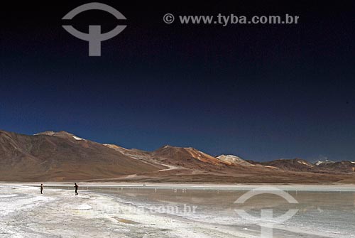  Subject: White lagoon - National Reserve Fauna Andina Eduardo Avaroa / Place: Departamento de Potosi - Bolivia - South America / Date: 01/2011 