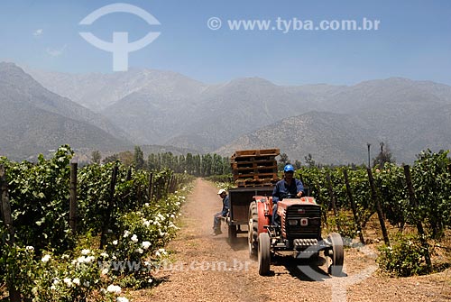  Subject: Staff Vineyard Aquitaine / Place: Santiago - Chile - South America / Date: 01/2011 