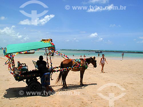  Subject: Carneiros beach - Coral coast region / Place: Tamandare city - Pernambuco state (PE) - Brazil / Date: 03/2011 