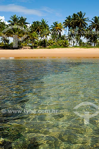  Subject: Taipus de Fora in Peninsula  Marau / Place: Marau city - Bahia state (BA) - Brazil / Date: 02/2011 