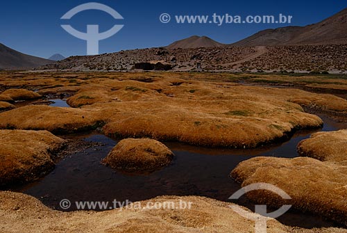  Subject: Pueblo Machuca village - Atacama Desert / Place: Near San Pedro do Atacama - Chile / Date: 01/2011 