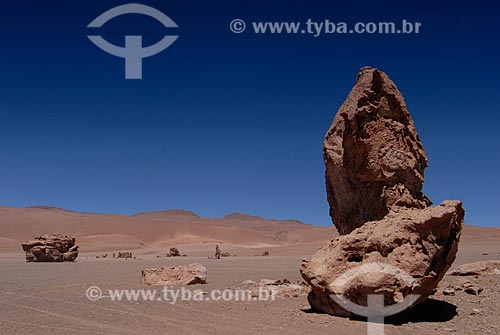  Subject: Monge Pakana or Sentinel Pakana / Place: Chile - South America / Date: 01/2011 