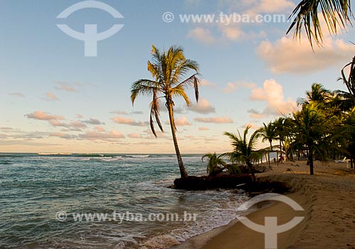  Subject: Pratagy Beach / Place: Maceio city - Alagoas state (AL) - Brazil / Date: 05/2010 