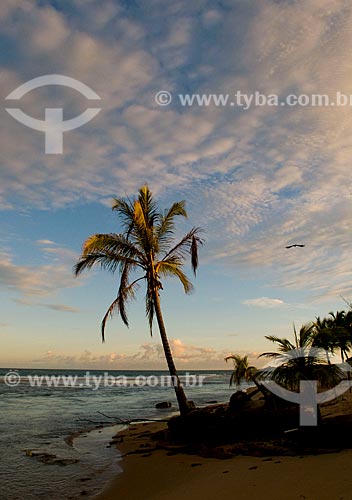  Subject: Pratagy Beach / Place: Maceio city - Alagoas state (AL) - Brazil / Date: 05/2010 