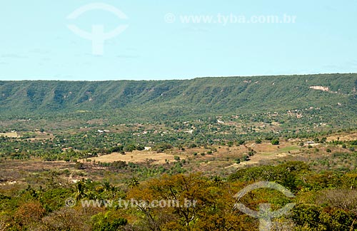  Subject: Foot of Chapada do Araripe / Place: Crato city - Ceara state (CE) - Brazil / Date: 08/2010 