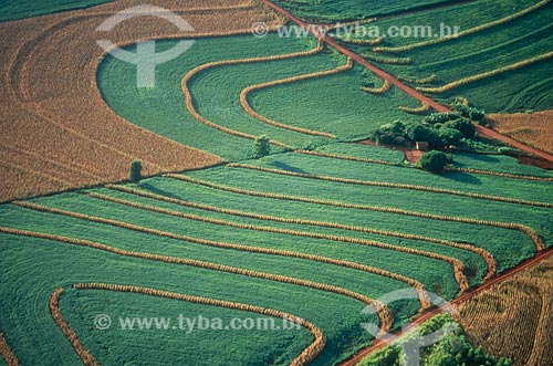 Subject: Plantation of corn and soybeans / Place: Assis Chateaubriand city - Parana state (PR) - Brazil / Date: 2009 