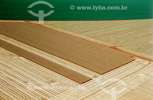  Subject: Plantation of corn and soybeans / Place: Diamantino city - Mato Grosso state (MT) - Brasil / Date: 2009 