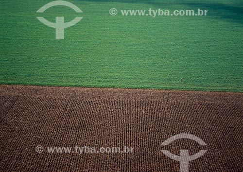  Subject: Plantation of corn and soybeans / Place: Diamantino city - Mato Grosso state (MT) - Brasil / Date: 2009 