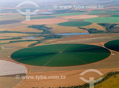  Subject: Plantation soybeans - use of central pivot for irrigation / Place: Luziânia city - Goias state (GO) - Brazil / Date: 2009 