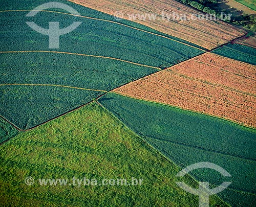  Subject: Plantation of soybeans and corn in level curves / Place: Assis Chateaubriand city - Parana state (PR) - Brazil / Date: 2009 