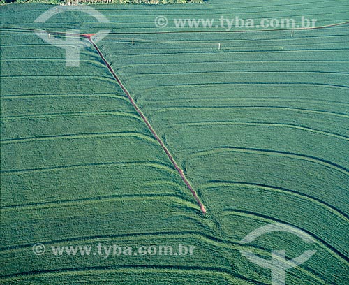  Subject: Plantation of soybeans / Place: Campo Mourao city - Parana state (PR) - Brazil / Date: 2009 