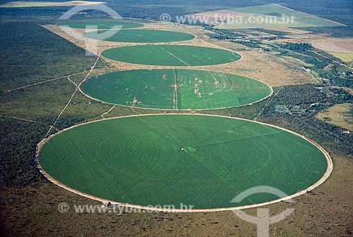  Subject: Plantation of soybeans - use of central pivot for irrigation  / Place: Mimoso do Oeste city - Bahia state (BA) - Brazil / Date: 2009 
