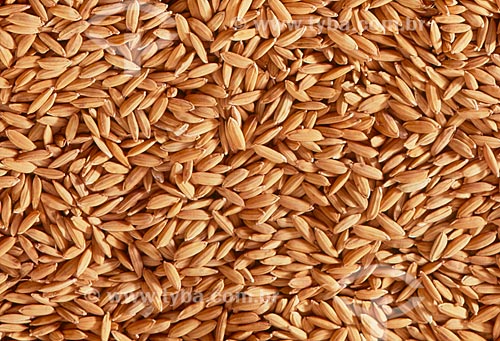  Subject: Grains of rice / Place: Studio / Date: 2009 