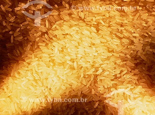  Subject: Grains of rice / Place: Studio / Date: 2009 