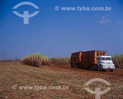  Subject: Mechanized harvest of sugarcane / Place: Ribeirao Preto city - Sao Paulo state  (SP) - Brazil / Date: 2005 