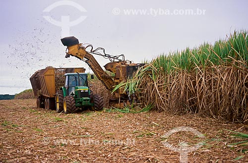  Subject: Mechanized harvest of sugarcane / Place: Ribeirao Preto city - Sao Paulo state  (SP) - Brazil / Date: 2005 