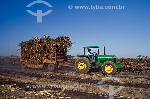  Subject: Mechanized harvest of sugarcane / Place: Ribeirao Preto city - Sao Paulo state  (SP) - Brazil / Date: 2005 