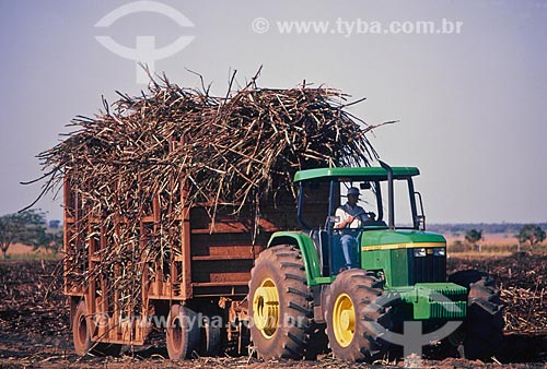  Subject: Mechanized harvest of sugarcane / Place: Ribeirao Preto city - Sao Paulo state  (SP) - Brazil / Date: 2005 